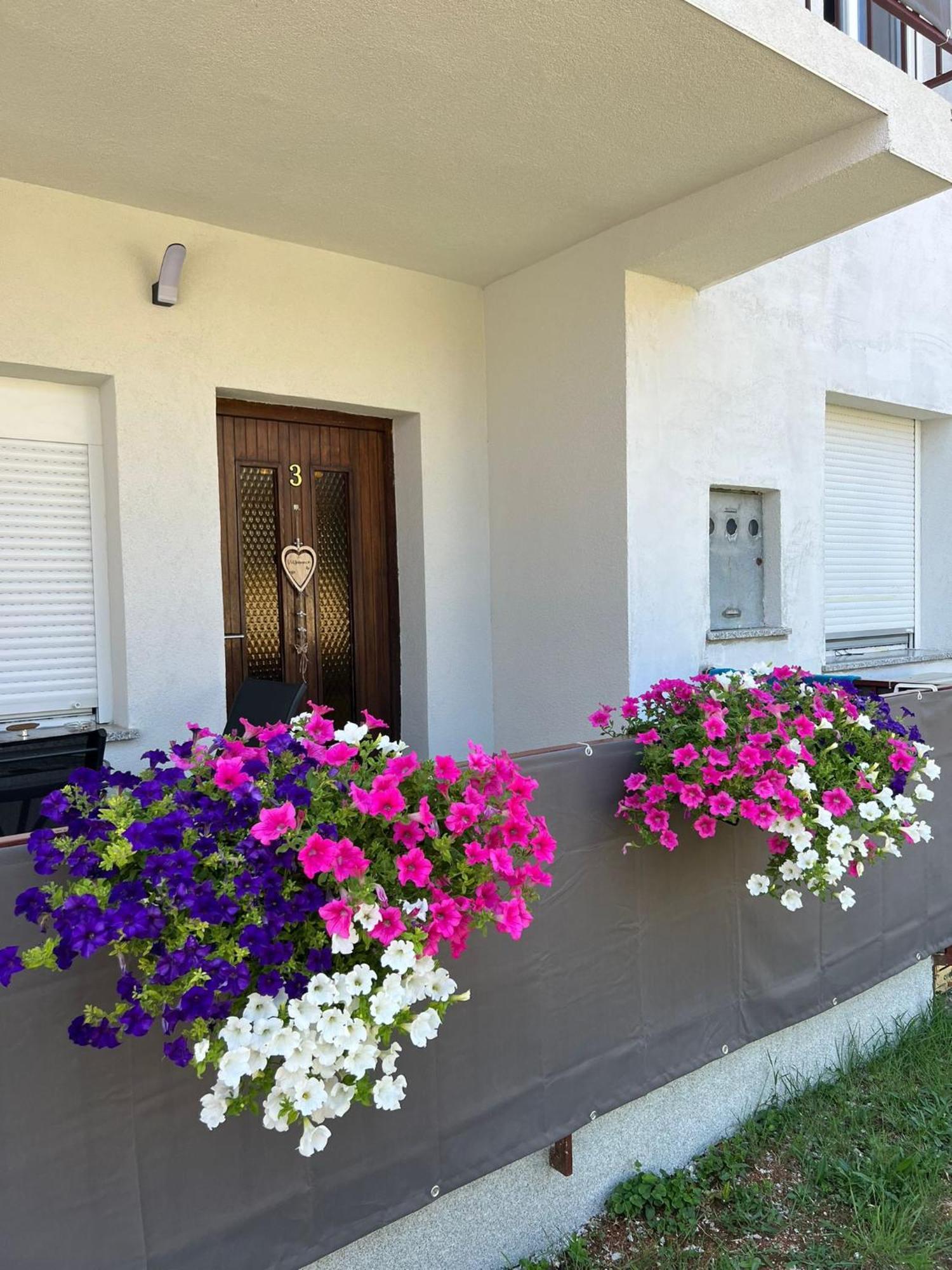 3Level Apartments Kroatien Umago Exterior foto